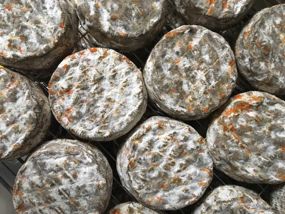 Colorful blooms on cheese